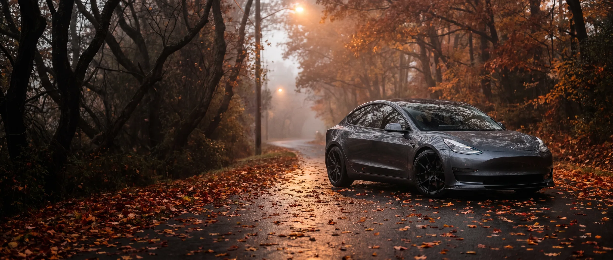 Tesla with flush fitment